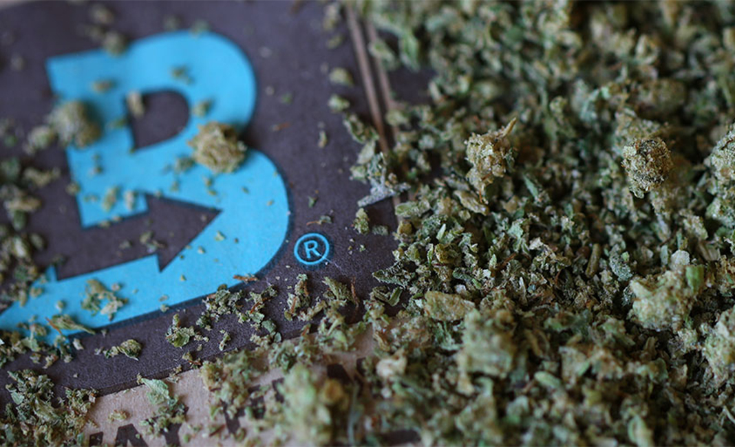 boveda review