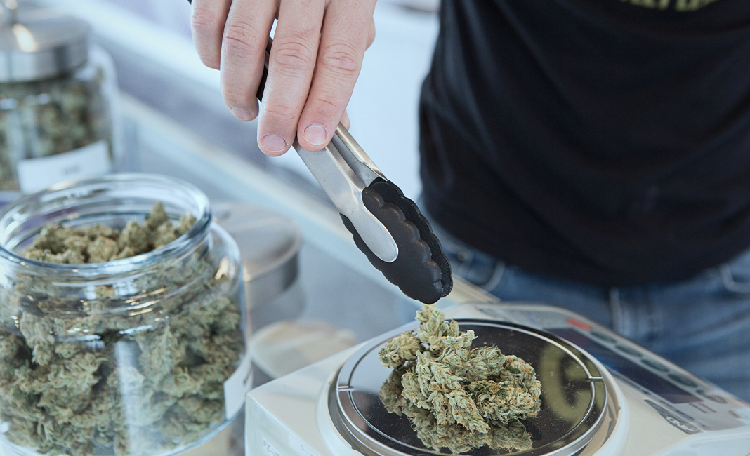 medical marijuana
