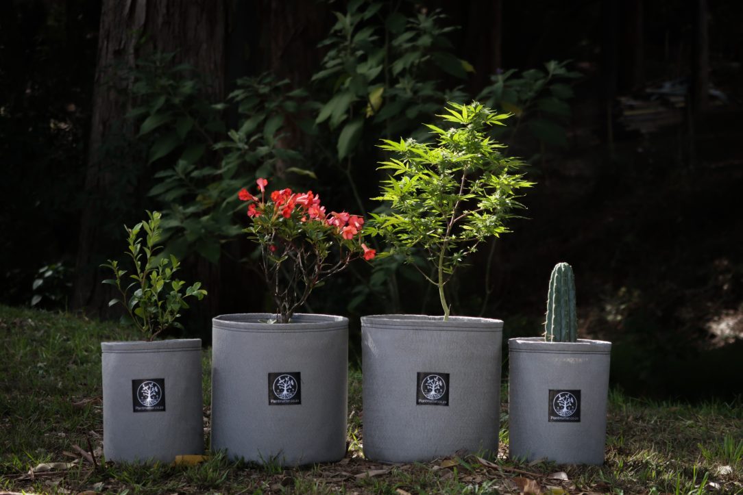 plantmatter