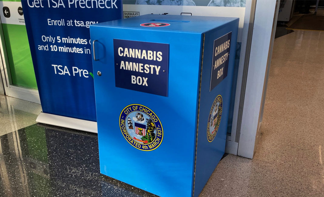 cannabis amnesty boxes