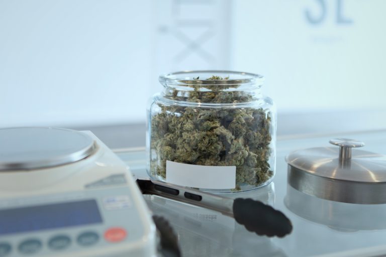 cannabis the immune booster