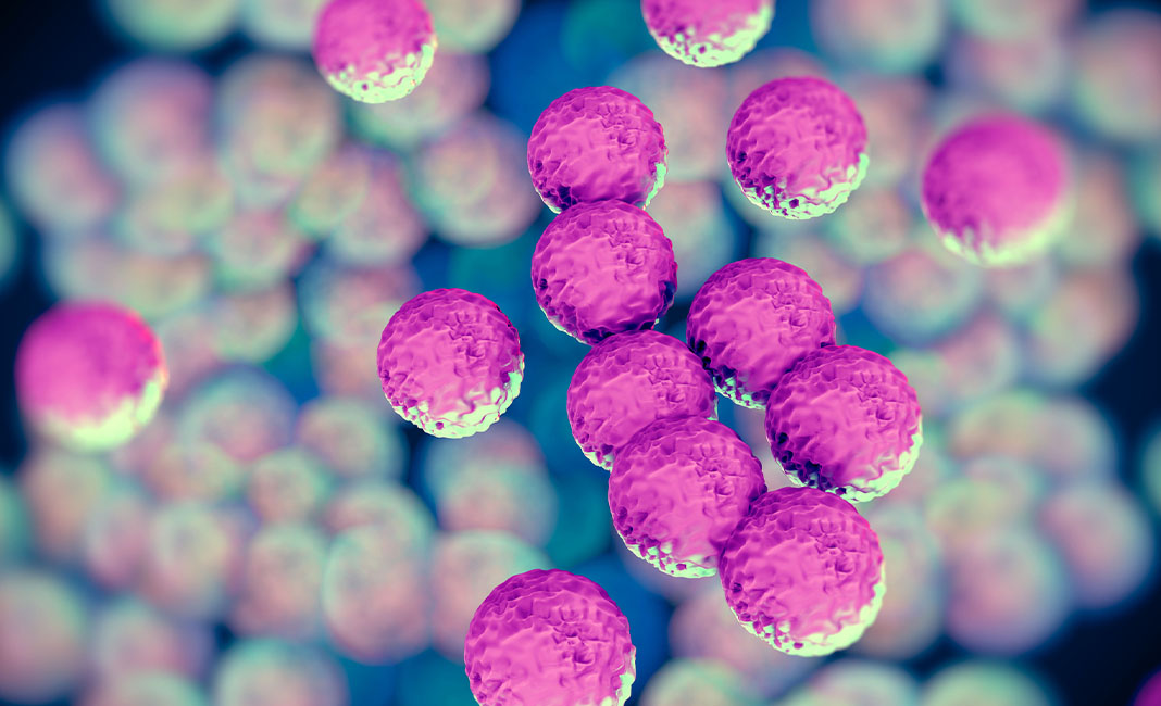 MRSA bacteria