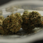 South Africaâ€™s cannabis laws