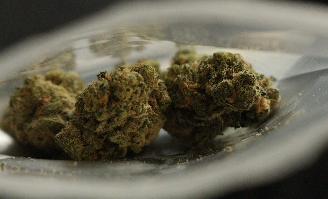 South Africaâ€™s cannabis laws