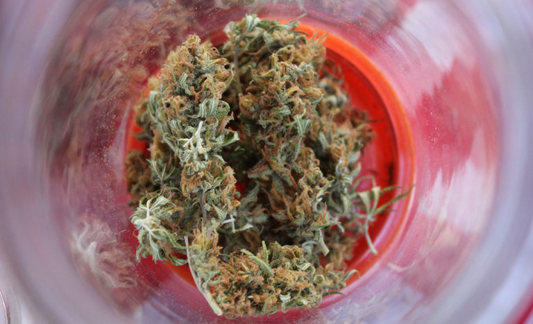cannabis for anxiety