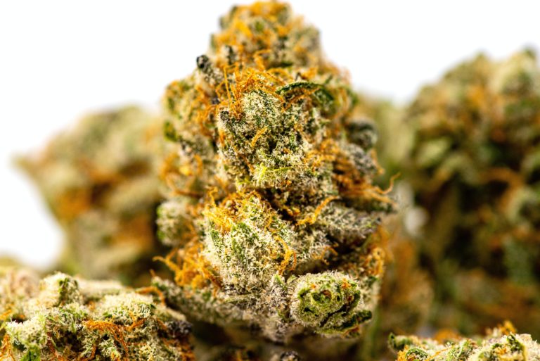 what are terpenes