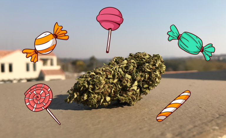 Candy iV