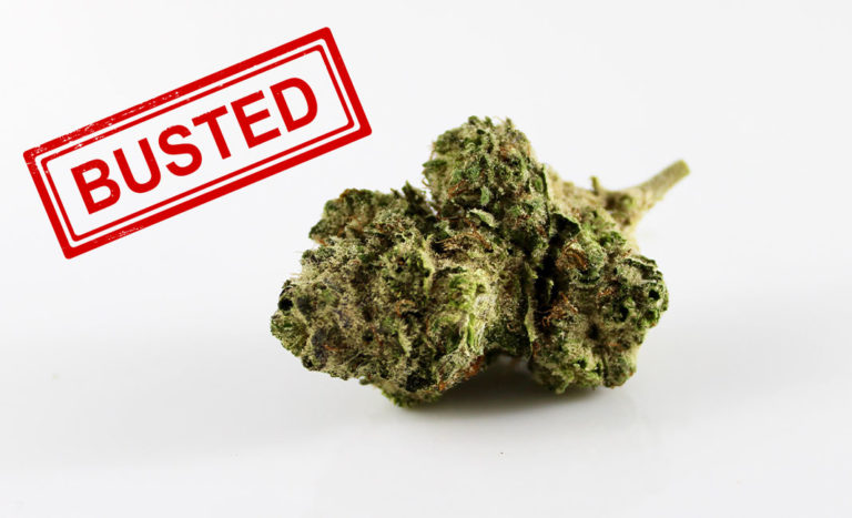 cannabis myths