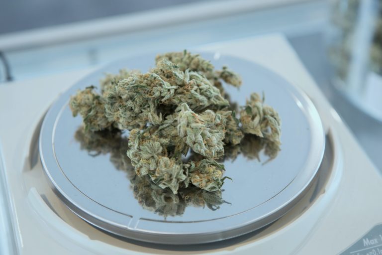 medical cannabis day
