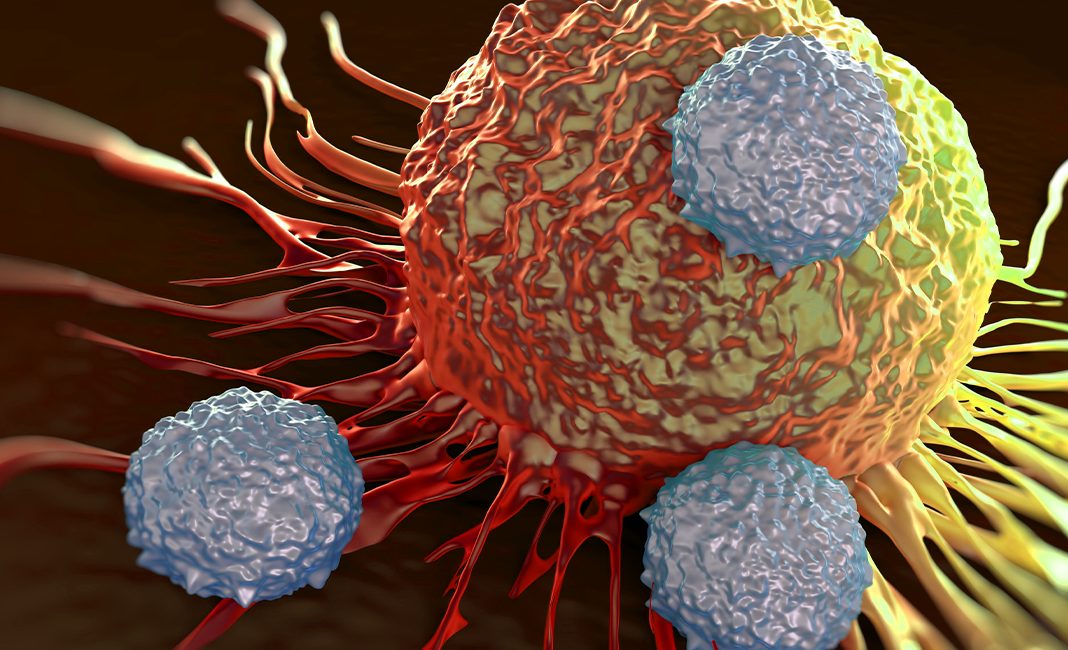 cannabis for cancer