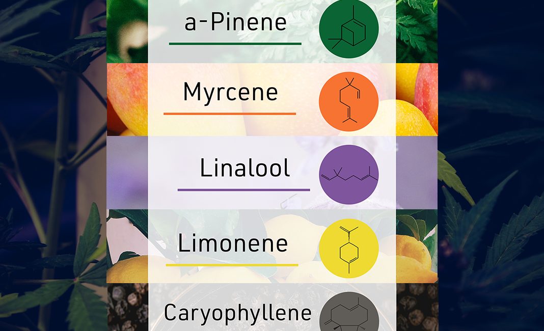 terpenes